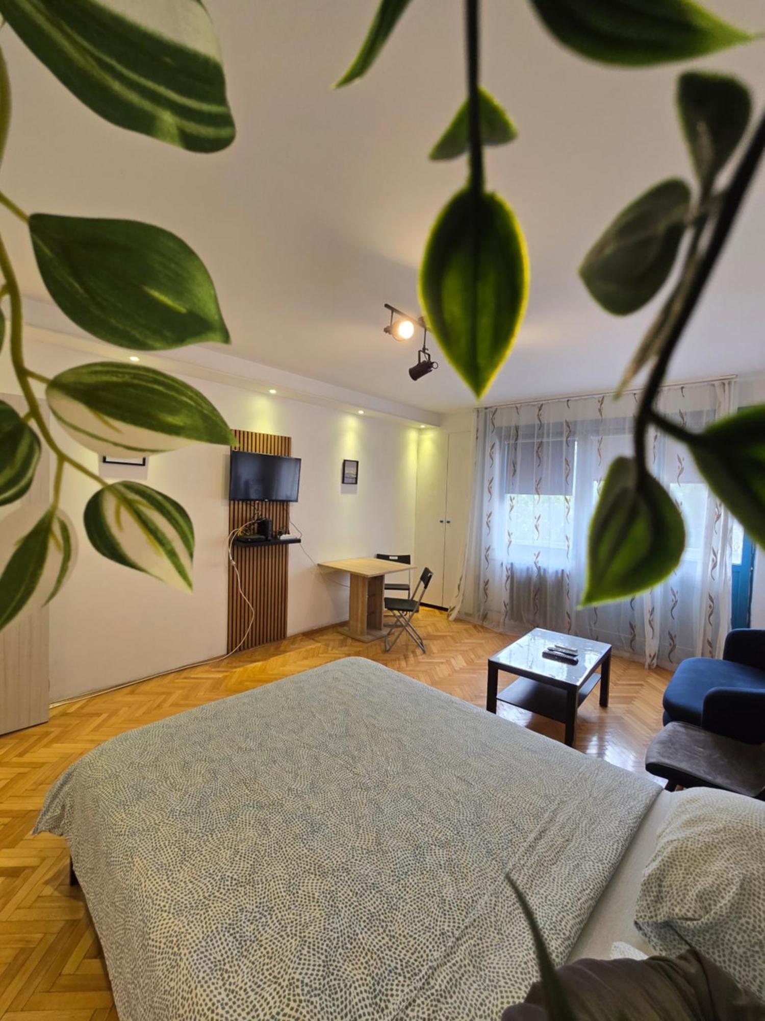 Azzurro Studio Apartment Belgrado Buitenkant foto