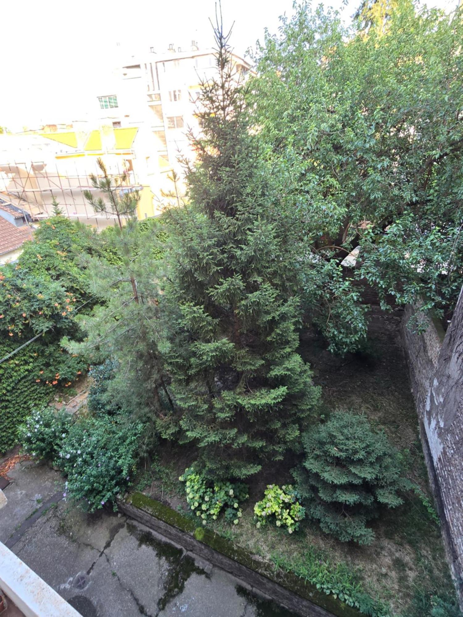 Azzurro Studio Apartment Belgrado Buitenkant foto